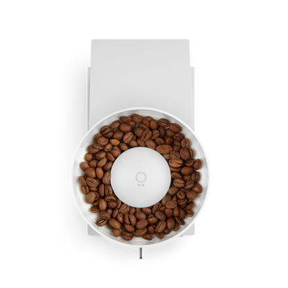 Fellow Opus Conical Burr Grinder